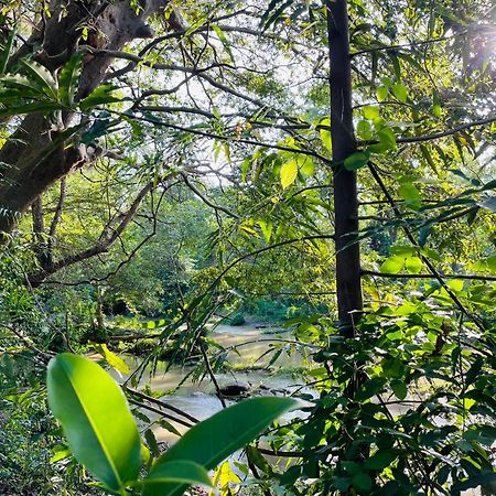 Yala Safari River View Hotel Tissamaharama Εξωτερικό φωτογραφία