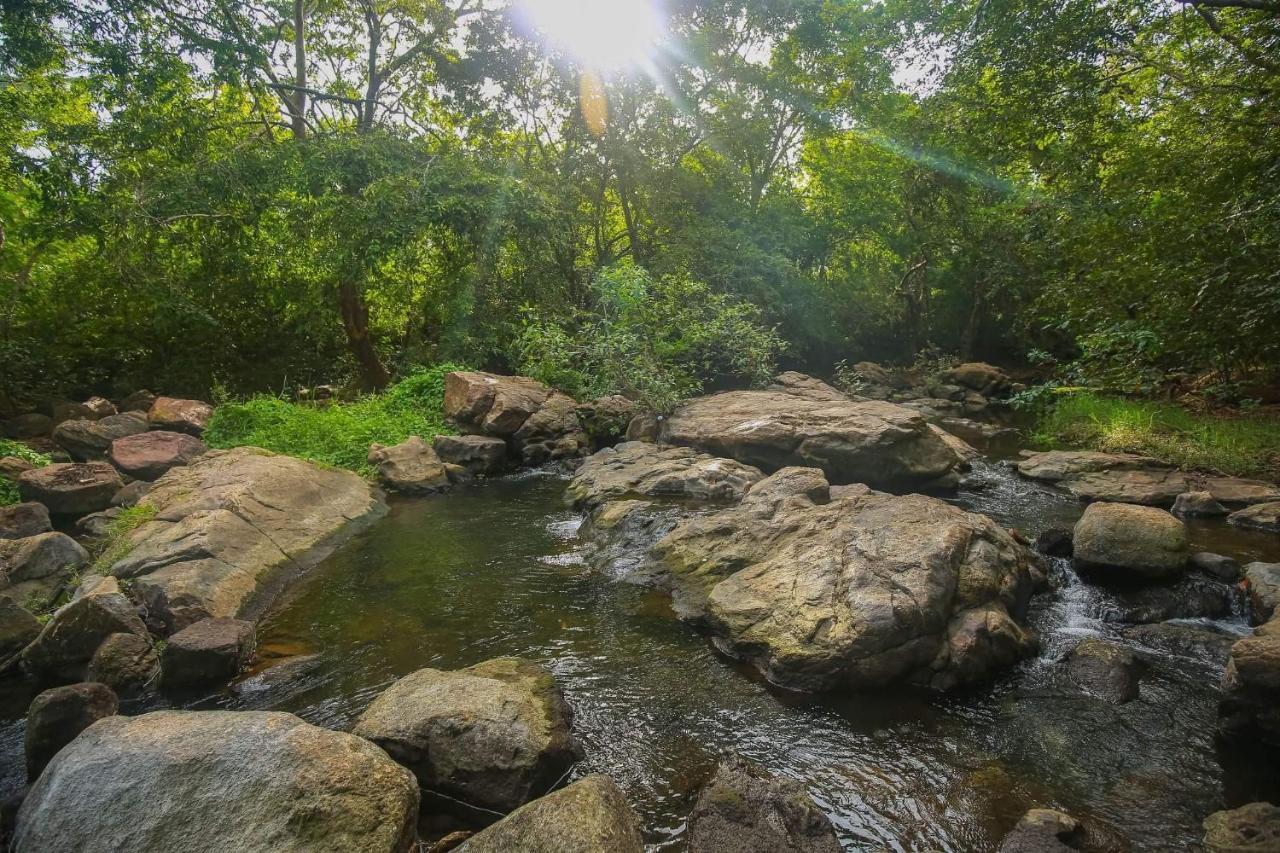 Yala Safari River View Hotel Tissamaharama Εξωτερικό φωτογραφία