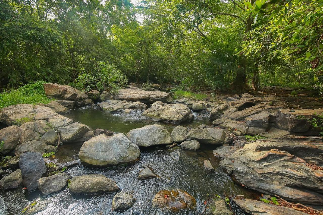 Yala Safari River View Hotel Tissamaharama Εξωτερικό φωτογραφία