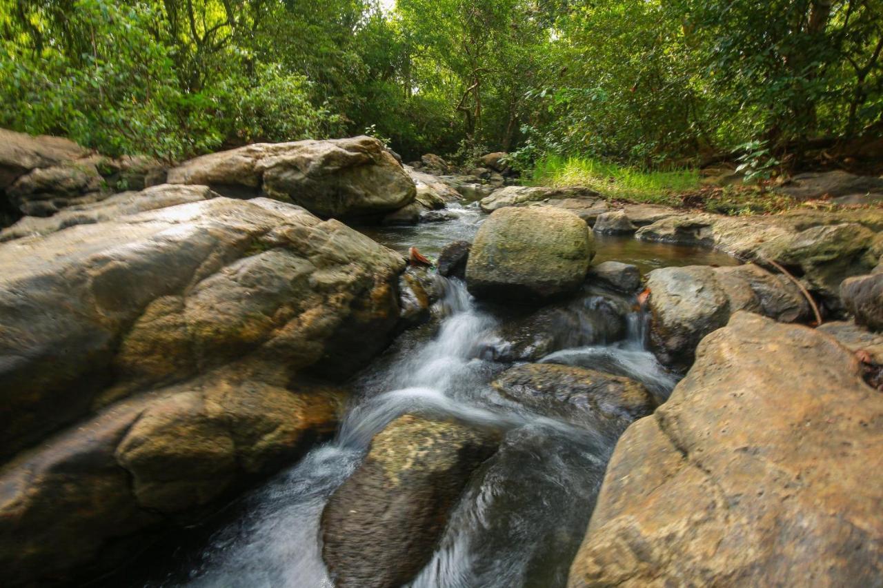 Yala Safari River View Hotel Tissamaharama Εξωτερικό φωτογραφία