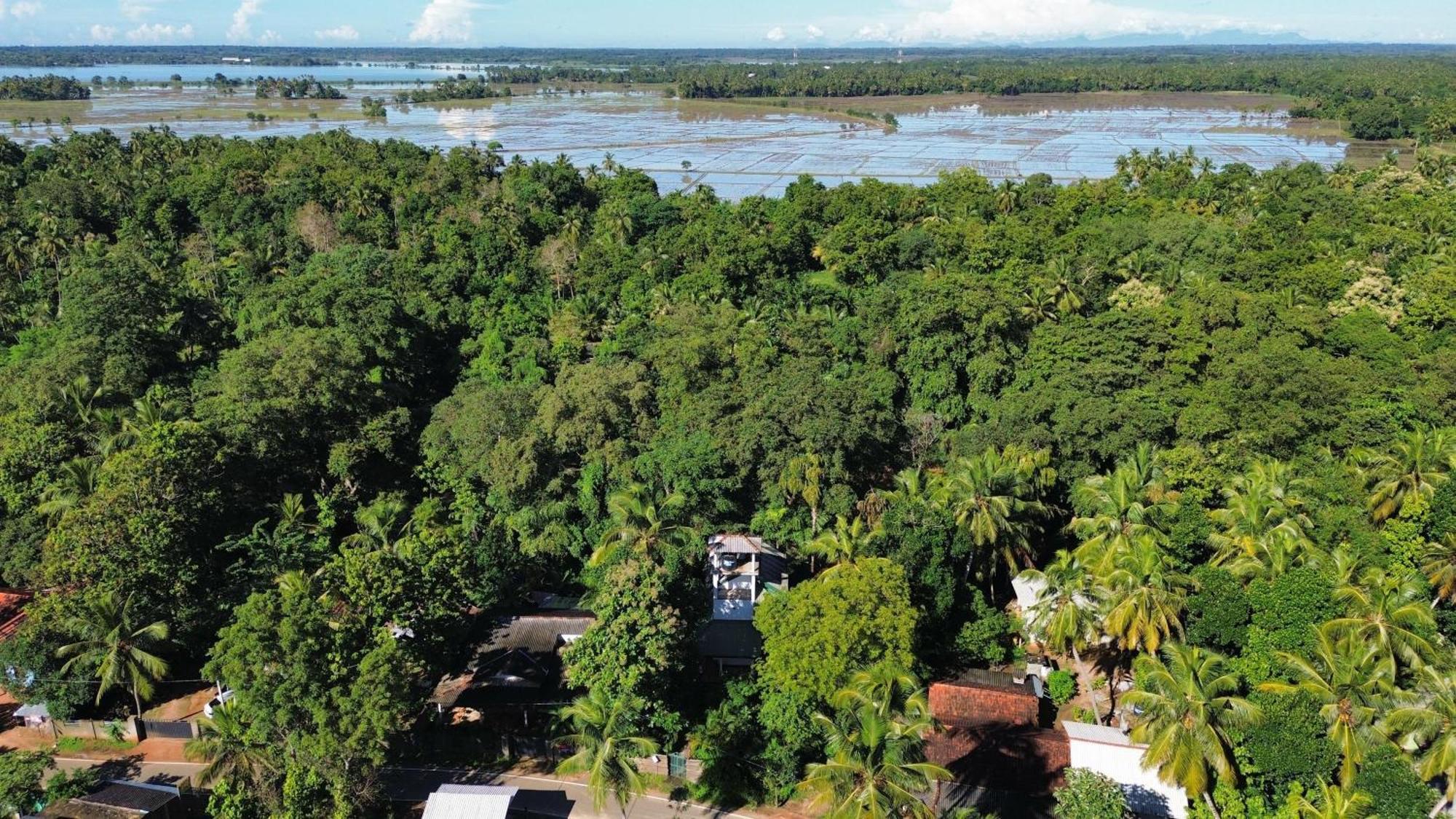 Yala Safari River View Hotel Tissamaharama Εξωτερικό φωτογραφία