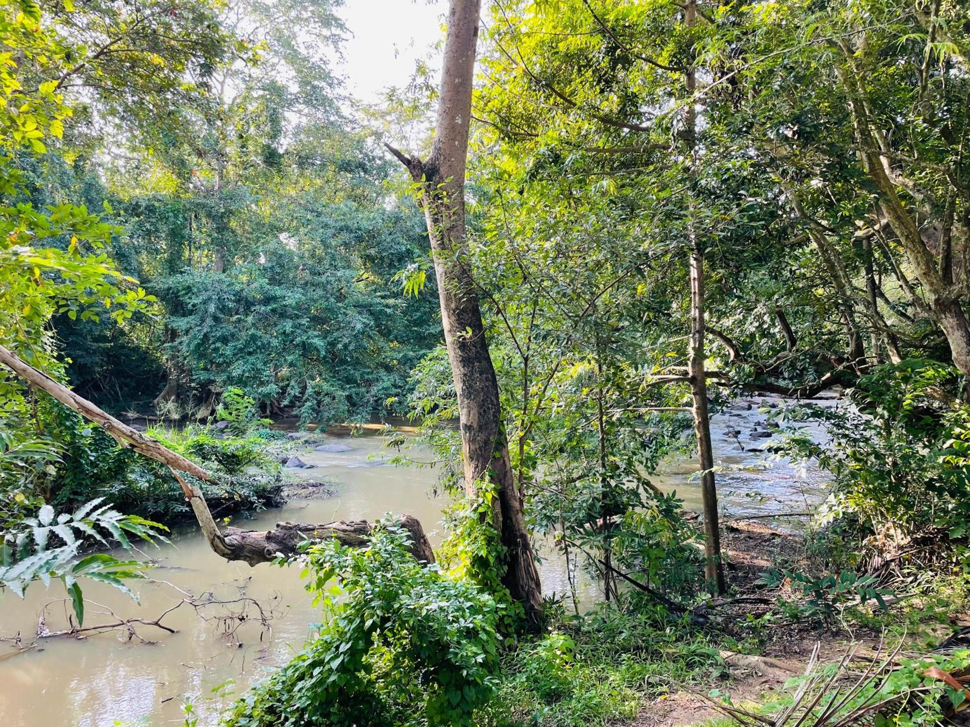 Yala Safari River View Hotel Tissamaharama Εξωτερικό φωτογραφία