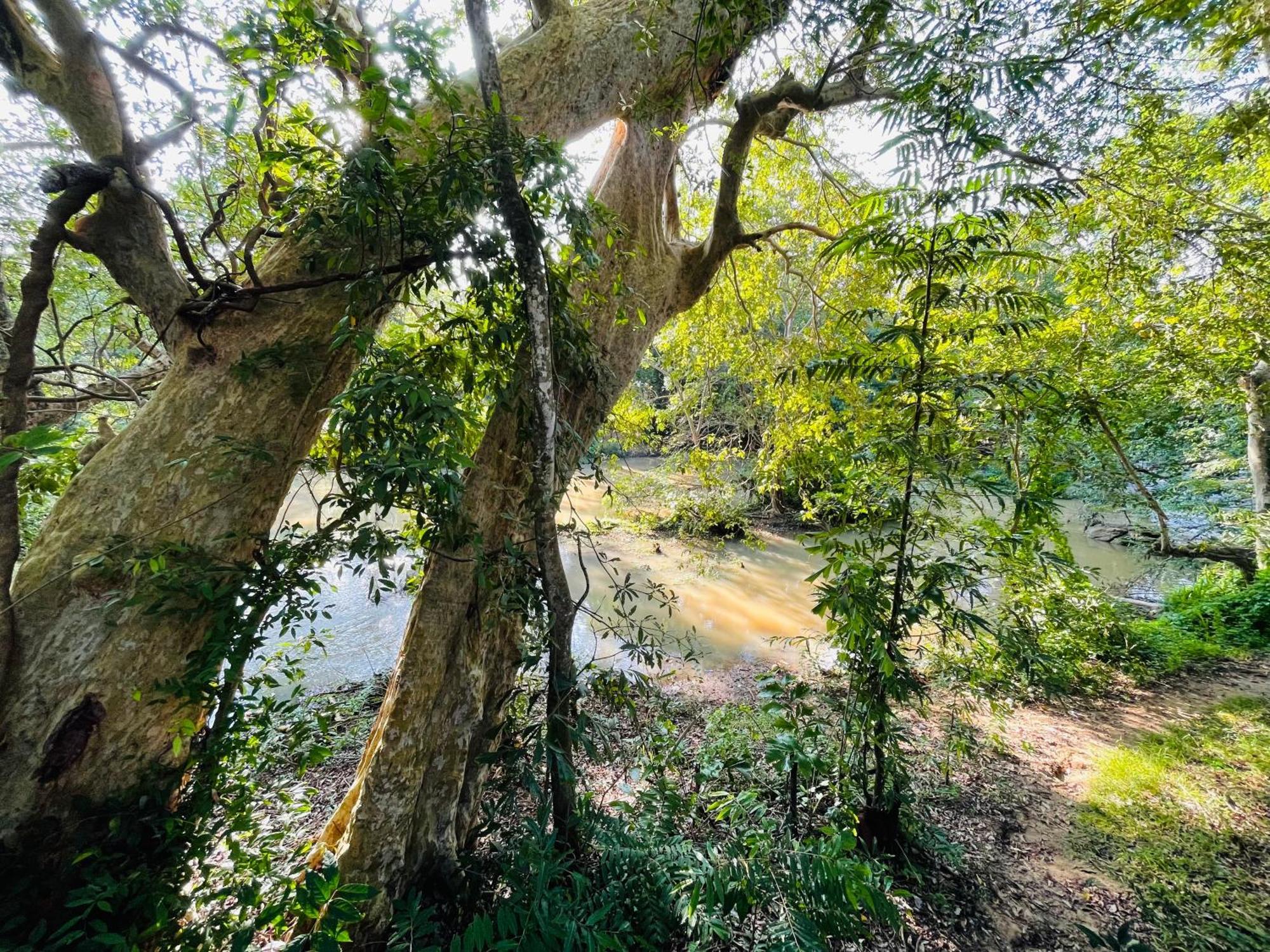 Yala Safari River View Hotel Tissamaharama Εξωτερικό φωτογραφία