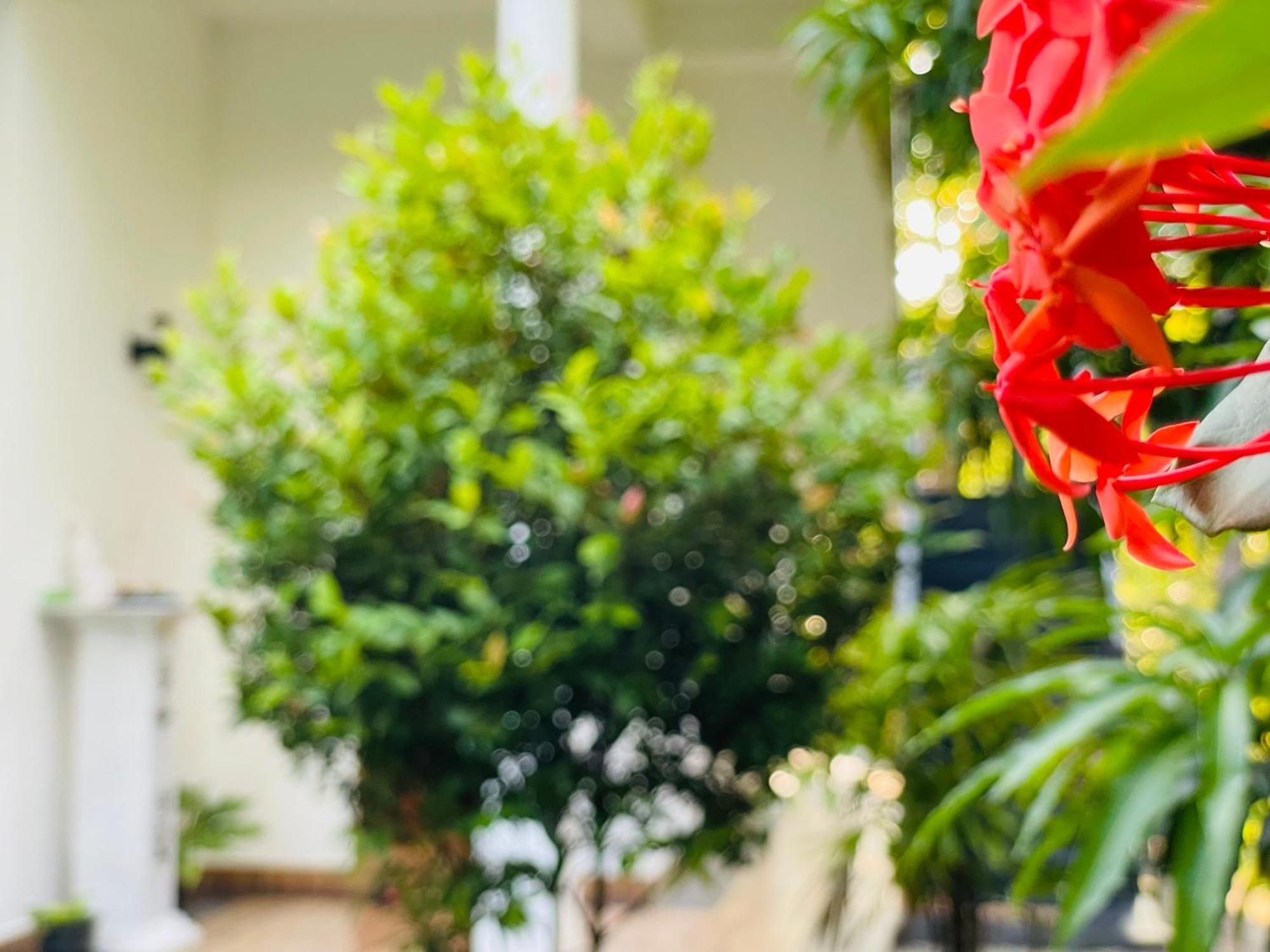 Yala Safari River View Hotel Tissamaharama Εξωτερικό φωτογραφία