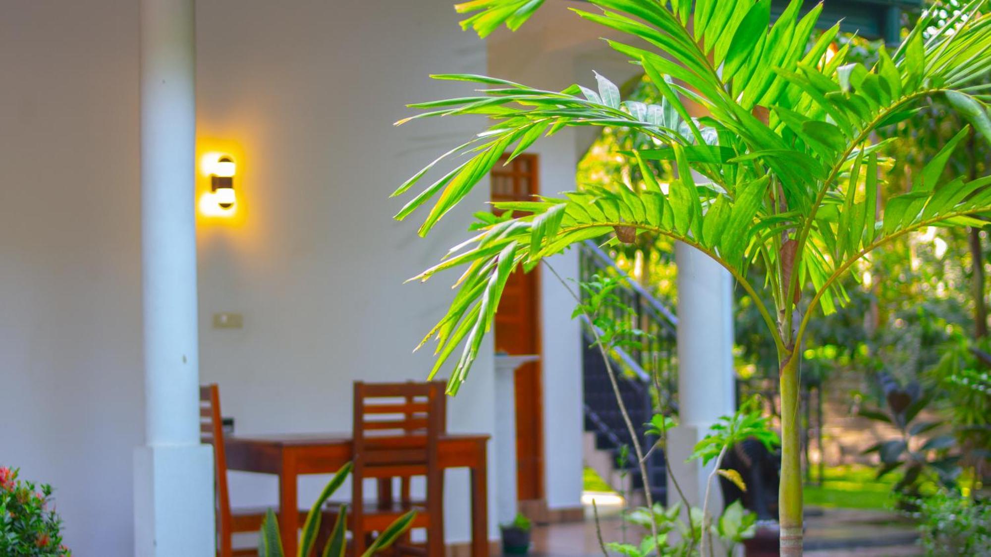 Yala Safari River View Hotel Tissamaharama Εξωτερικό φωτογραφία